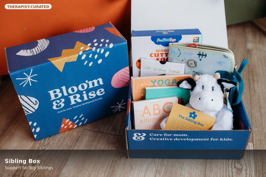 Sibling Box therapist-curated gift for big siblings